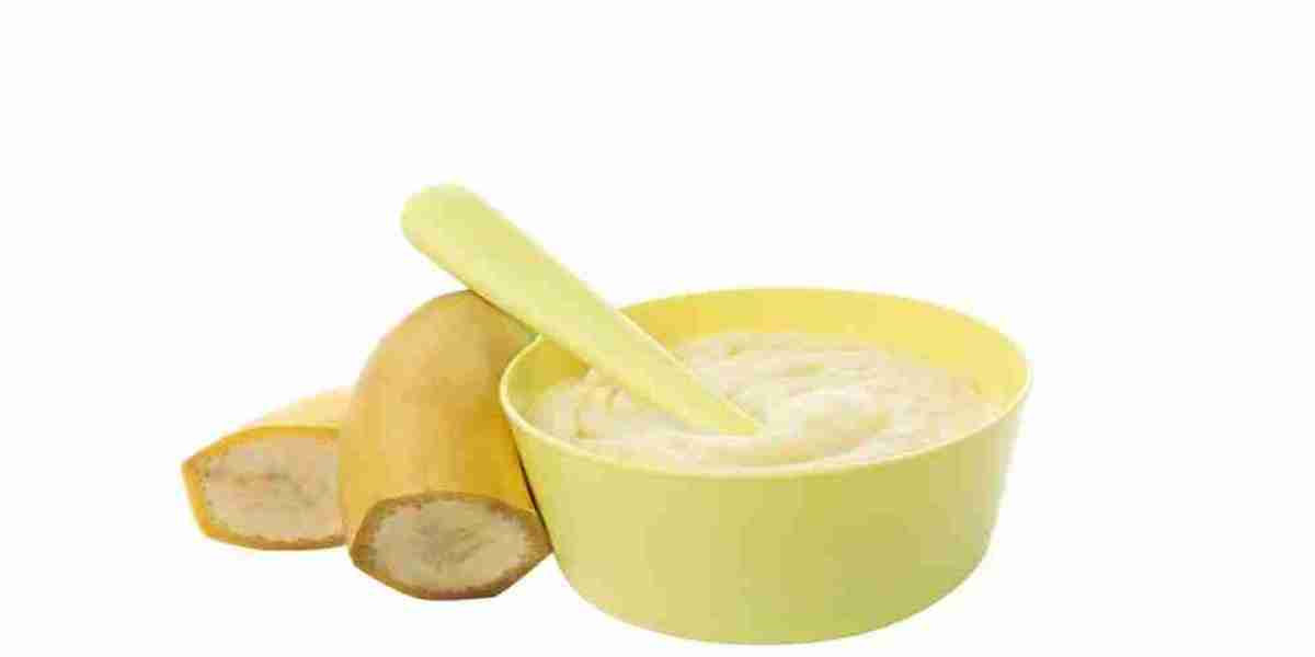 Banana Puree Market Outlook for 2025 and Future Growth Opportunities