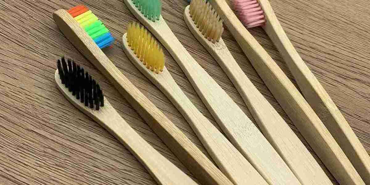 Bamboo Toothbrush Market Battles Challenges in Adoption and Supply Chain