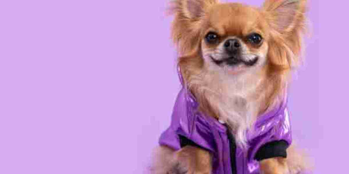 The Ultimate Guide to Choosing the Best Pet Wear for Your Furry Friend