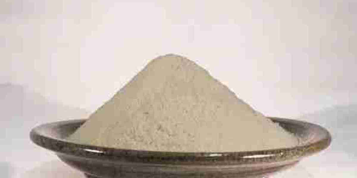 Chitosan Market Expansion Opportunities and Challenges in Key Industries