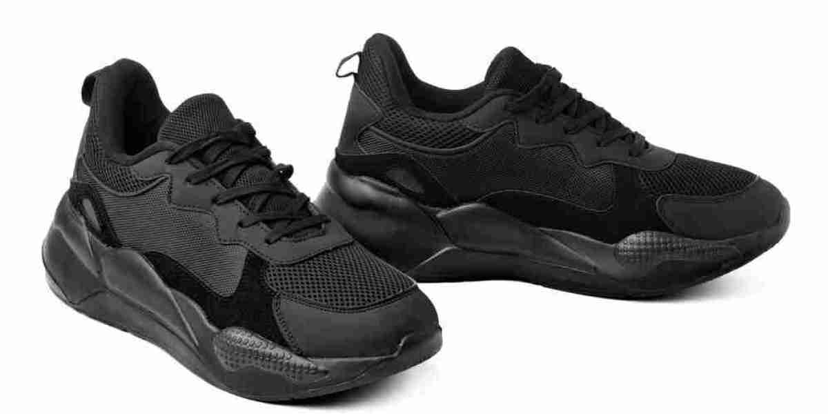 Gym Shoes Market Challenges Price Sensitivity and Consumer Budget Constraints