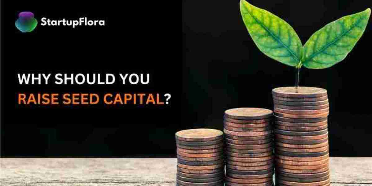 The Need for Seed Capital For Startups