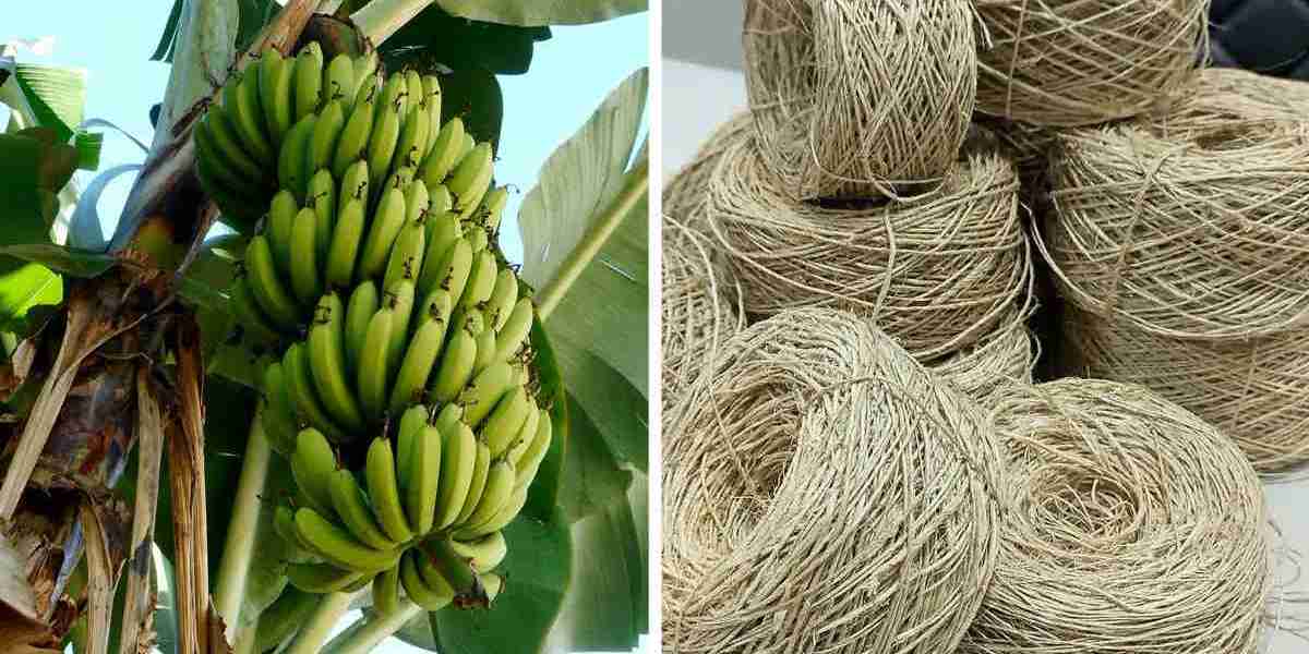 Plant-Based Textile Fibres Market Revolutionizing Global Industries and Driving Economic Growth Through Sustainability