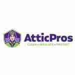 attic prosinc