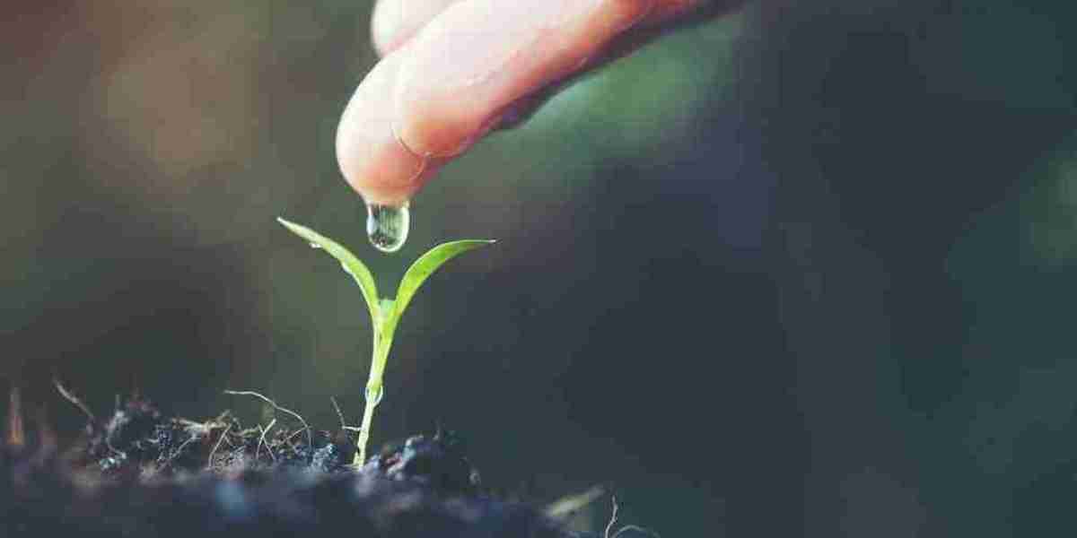 Liquid Fertilizers Market Growing Demand for Sustainable Solutions