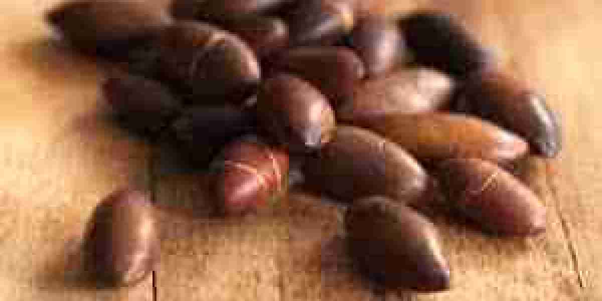 Baru Nuts Market Outlook on Growth, Trends, and Opportunities for 2025 and Beyond