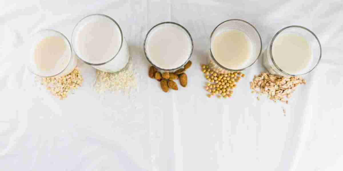 Cashew Milk Market Overview Role of Health and Sustainability Trends