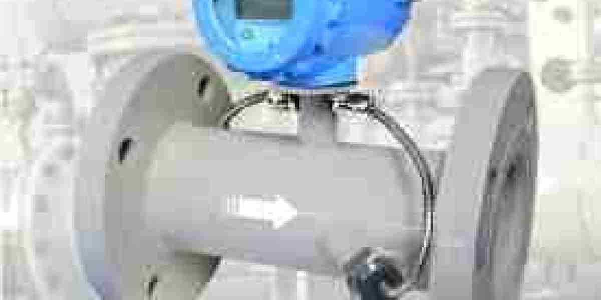 Ultrasonic Flowmeters Market Expansion: Opportunities and Challenges in Global Industrial Applications