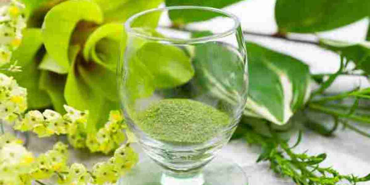 Organic & Natural Products Boom: Wheat Grass Juice Powder Market Forecast (2025-2032)