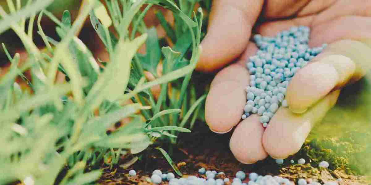 Silicon Fertilizers Market: Research and Development Breakthroughs