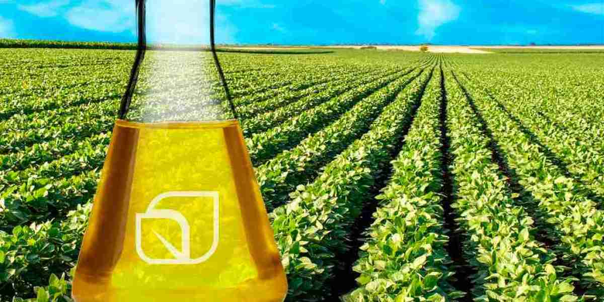 Biofuel Testing Services Market: Challenges in Meeting Quality Control Demands