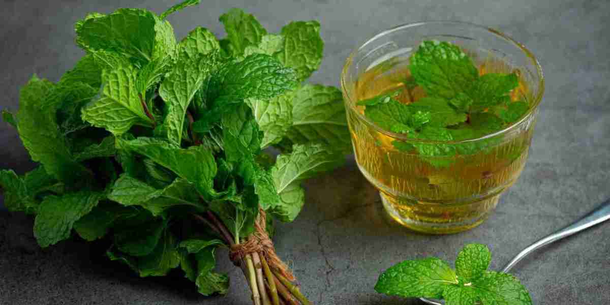 Stevia Extract Market Barriers: How Regulatory Hurdles and Supply Chain Issues Affect Industry Growth