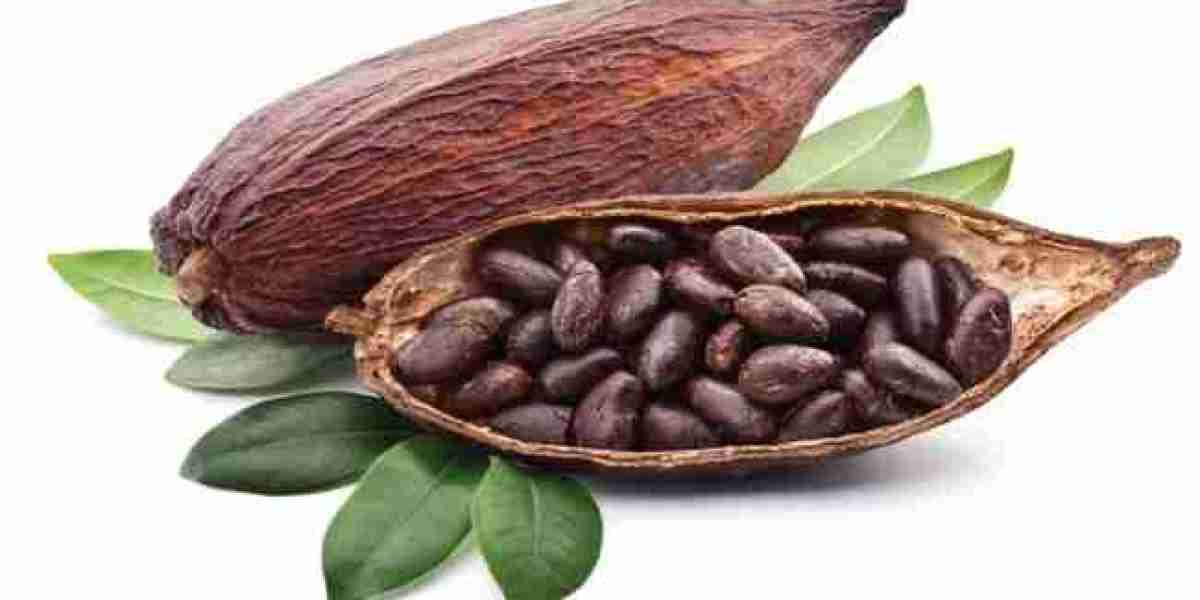 Cocoa Market Research: Trends, Challenges, and Growth Opportunities in the Global Chocolate Industry