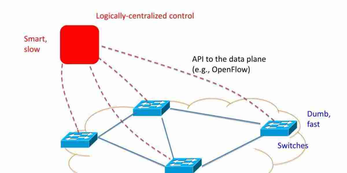 Software-Defined Networking (SDN) Market Analysis: Regional Trends and Forecasts