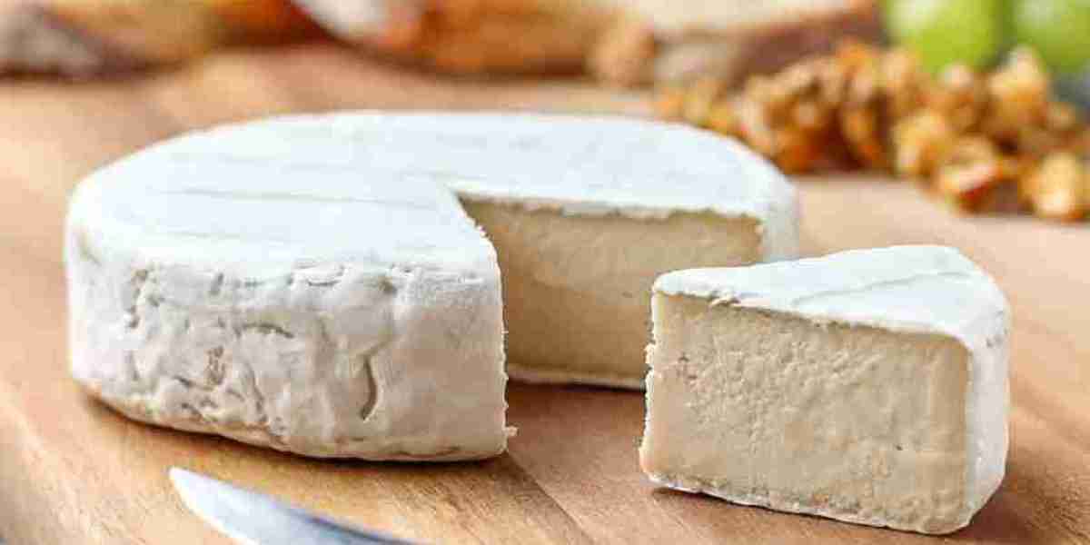 Vegan Cheese Market Growth Driven by Health Consciousness and Sustainability Trends