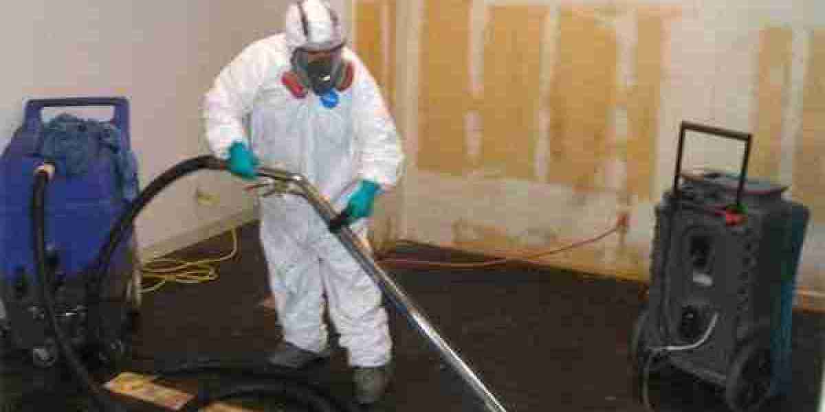 Reliable Mold Removal & Remediation – Keep Your Home Safe & Healthy