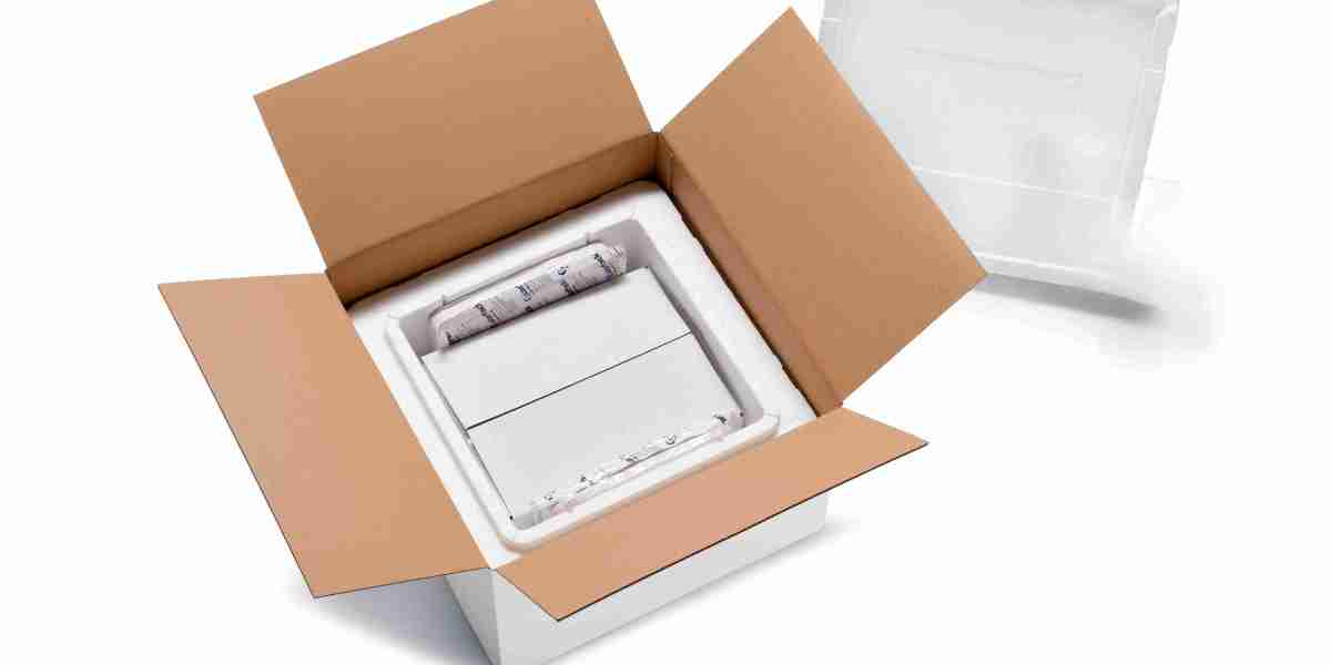 Temperature Controlled Packaging Market Outlook for 2025 and Beyond