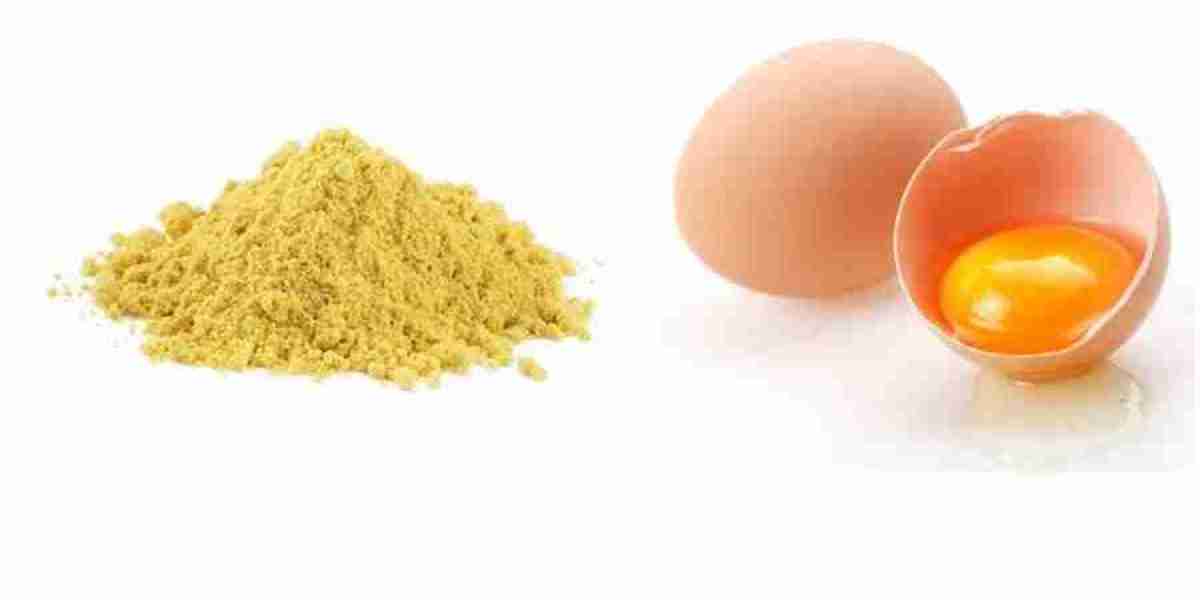 Dried Eggs Market Innovation and Technological Advancements