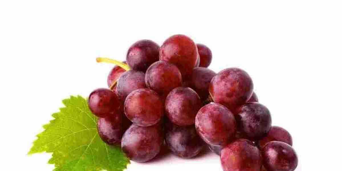 Grape Skin Extract Market Expansion Hampered by High Production Costs and Supply Chain Complexities