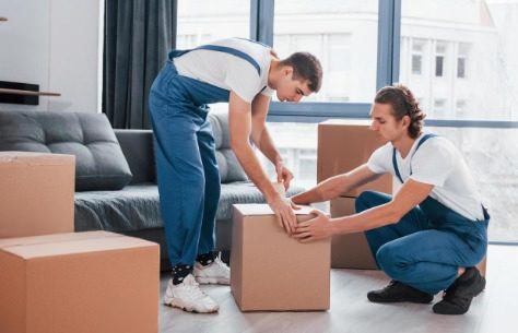 Host Movers: Your Trusted Removalists In Melbourne | by Host Movers | Feb, 2025 | Medium