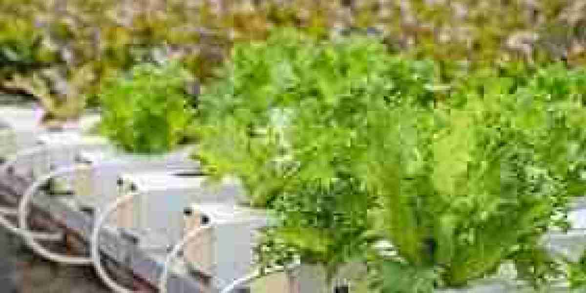 Aquaponics Market Analysis, Size, Share, Growth, Trends, and Forecasts by 2031