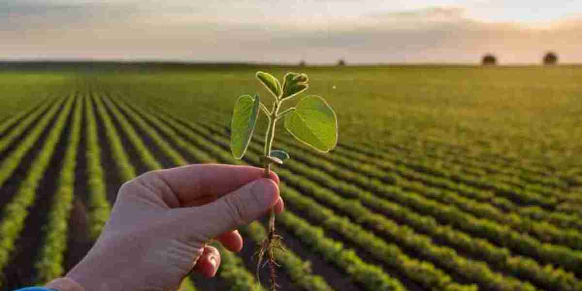 Bionematicides Market Accelerators: Key Drivers Fueling Growth and Adoption in Agriculture
