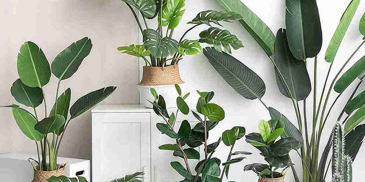Artificial Plants Market Growth Driven by Realistic Designs, Technological Innovation, and Customization Trends
