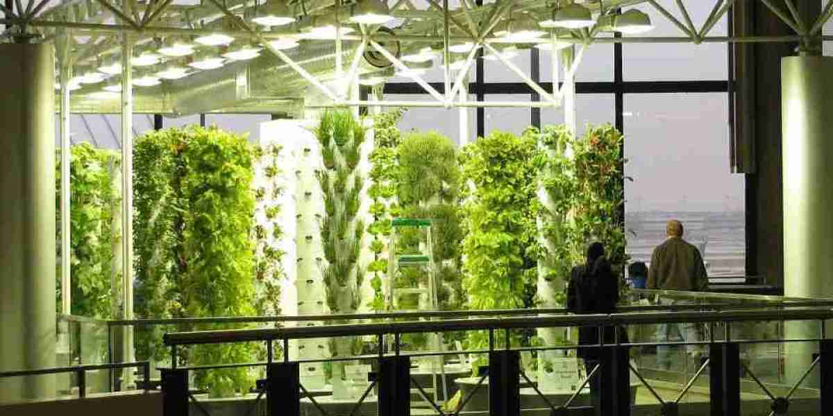 Key Accelerators Fueling the Aeroponics Market: Growth Drivers in Modern Agricultural Innovation