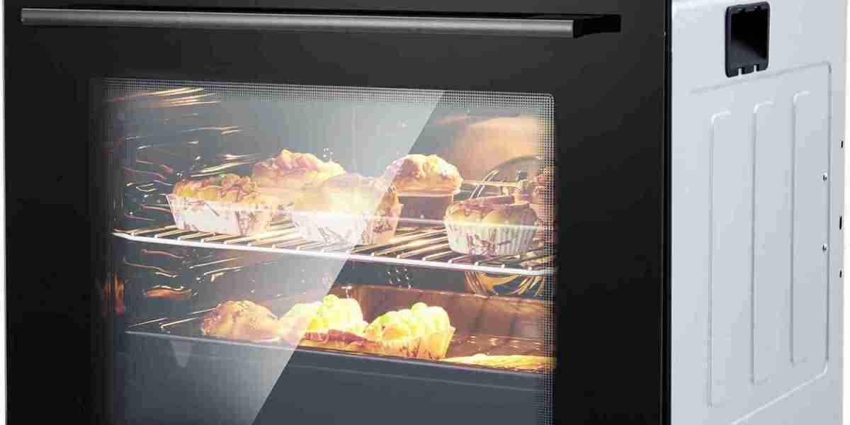 Built-In Oven Market Forecast: Projected Growth, Emerging Trends, and Key Drivers Shaping the Industry