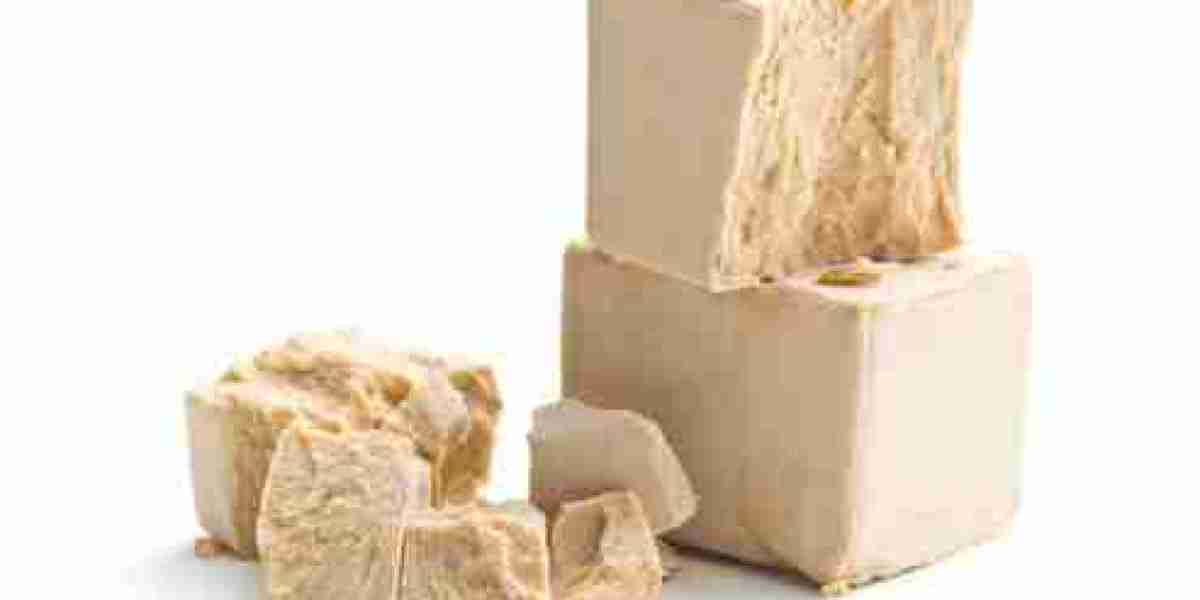 Compressed Yeast Market Overview: Key Applications, Growth Prospects, Key Players, and Emerging Regional Markets