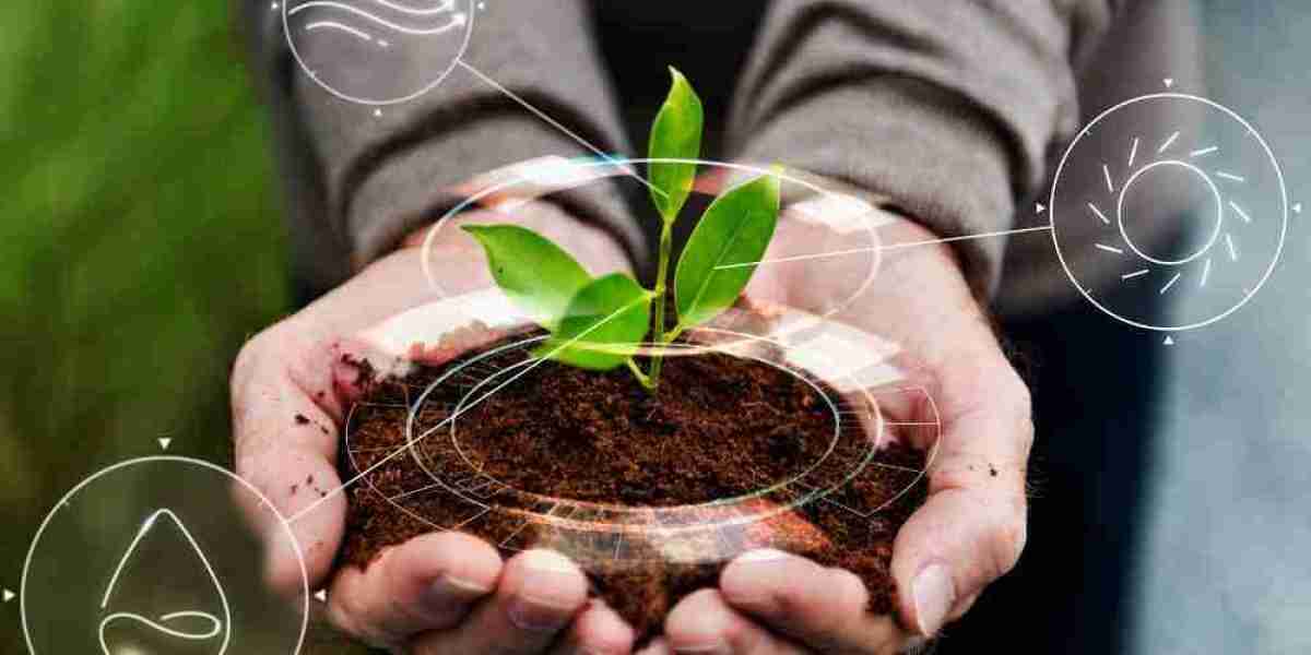 Biofertilizers Market Developments: Innovations, Trends, and Key Factors Driving Growth in Agriculture