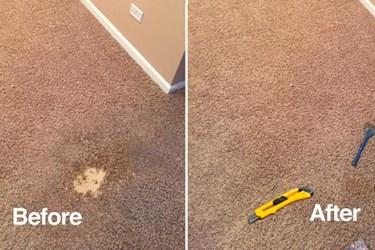 Restore and Refresh: The Professional Carpet Cleaning Process – DeVere – Carpet And Leather