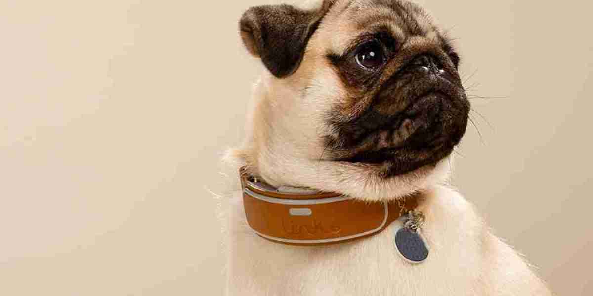 Smart Pet Collar Market Impact of COVID-19 and Post-Pandemic Recovery