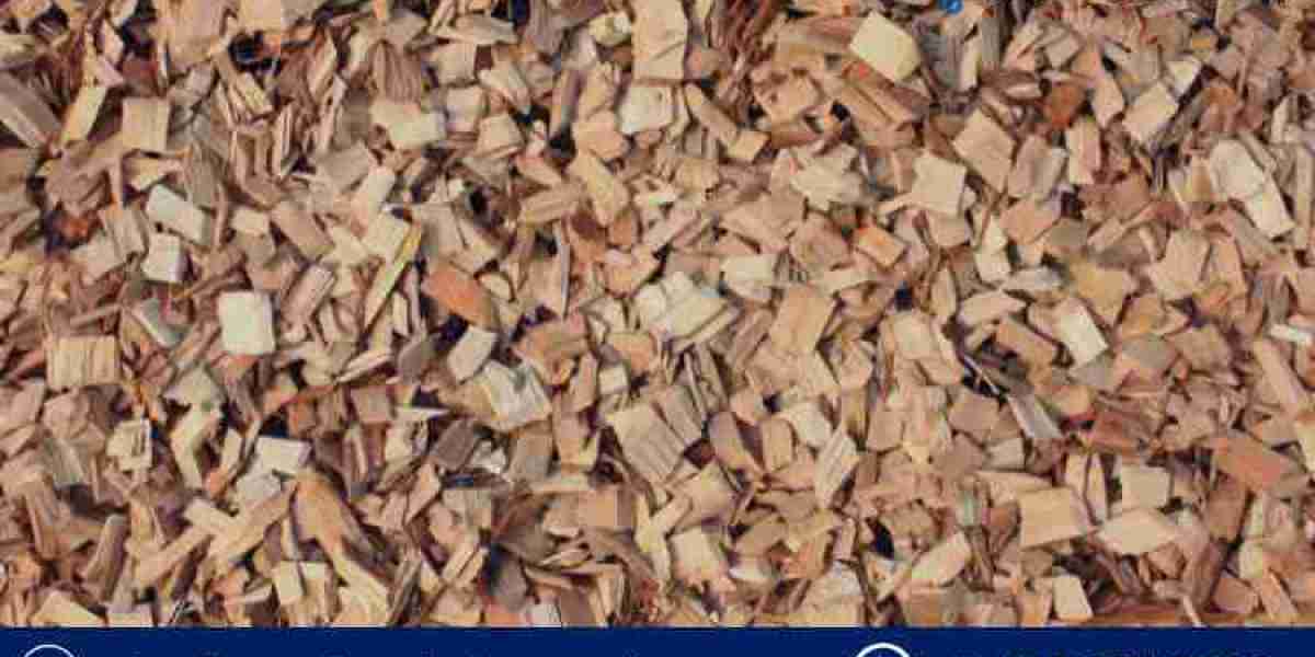 Wood Pulp Market Outlook 2025–2034: Growth, Trends, and Forecast in a Sustainable Future