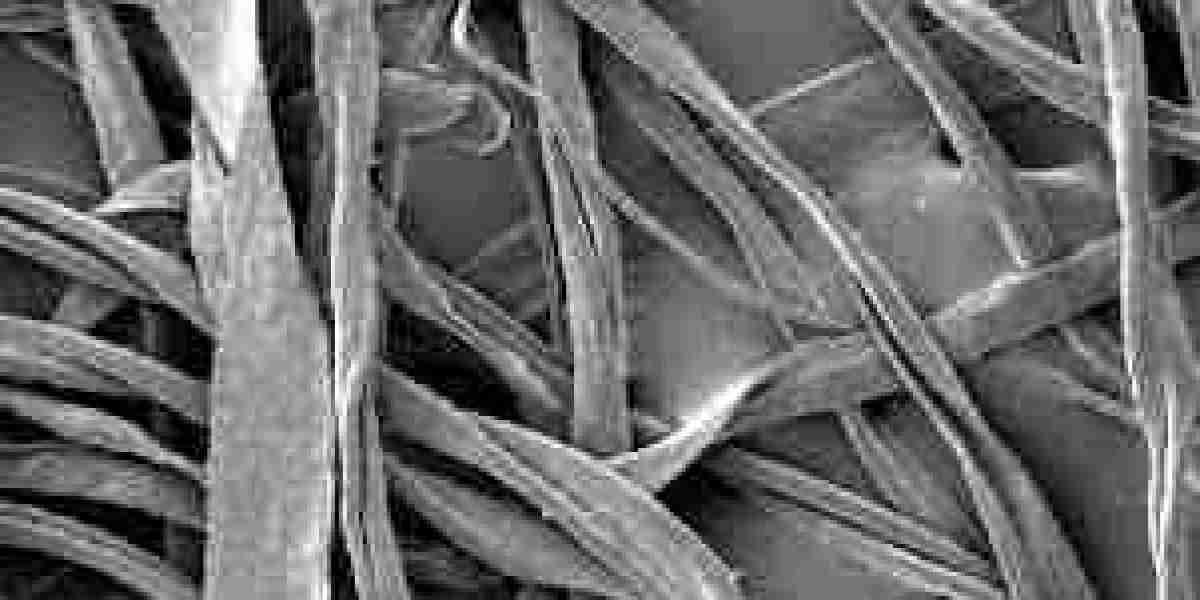 Cellulose Acetate Market Expansion Due to Eco-Conscious Consumer Shifts and Technological Advancements