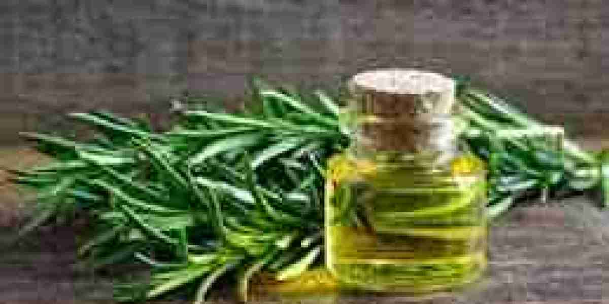 Rosemary Extract Market Potential: Unlocking Growth in Natural Wellness and Preservation