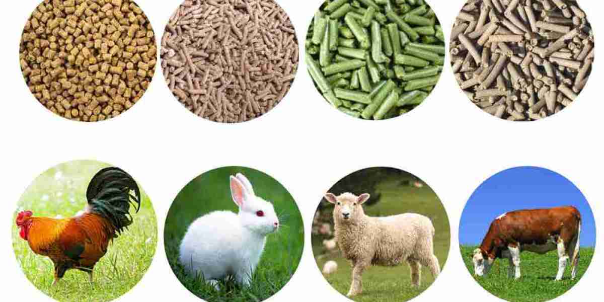 Animal Nutrition Market Research: Understanding Nutrient Demand and Market Dynamics in Livestock Feed