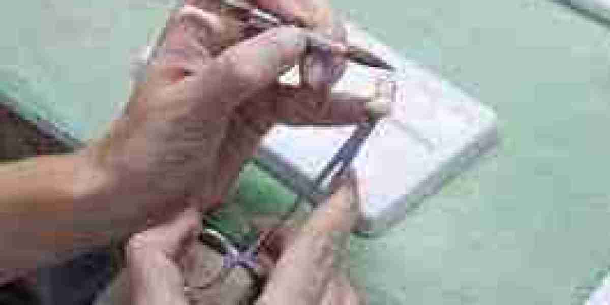 Dental Ceramic Market Innovations: Paving the Way for Advanced Dental Restorations