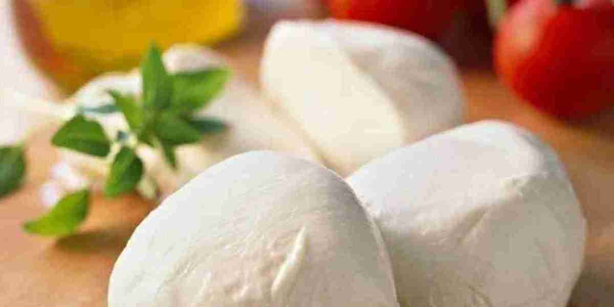 Mozzarella Cheese Market: A Deep Dive into Regional Growth and Consumer Consumption Patterns