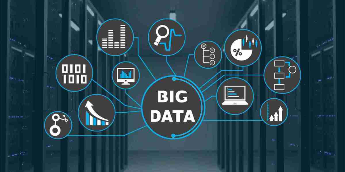 Big Data Analytics Software Market Long-Term Outlook: Evolving Trends, Innovations, and Strategic Growth Forecasts