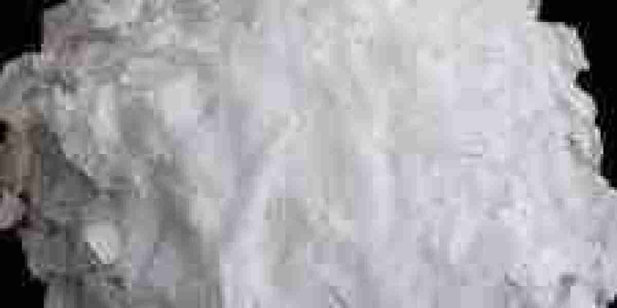 Mono Propylene Glycol Market Trends: Forecasting Market Development and Technological Advancements