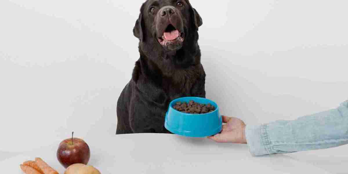 Pet Food Market Competitive Landscape Includes Mergers, Acquisitions, and New Brand Launches