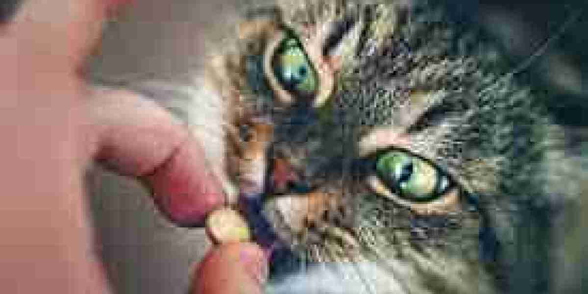 Pet Supplement Market Opportunities: Key Drivers, Challenges, and Trends Shaping Future Growth Potential