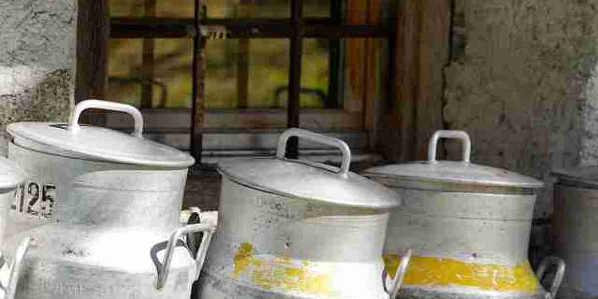 Dairy Container Market Intelligence: Navigating Consumer Demands, Eco Trends, and Global Expansion Strategies