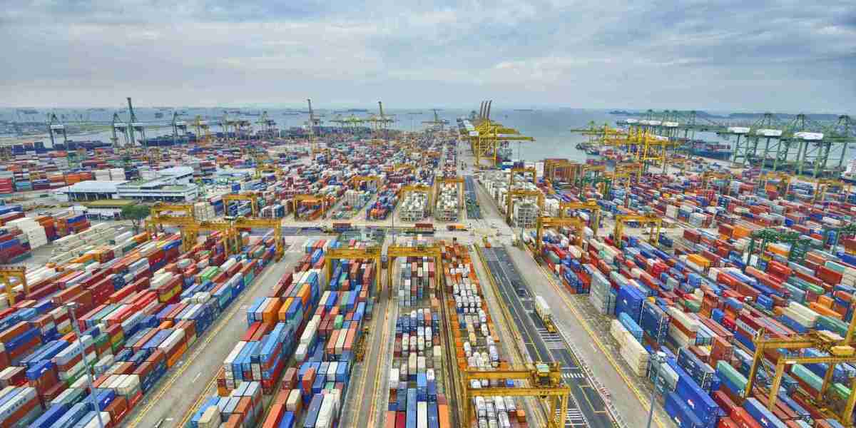 PUR Shippers Market Opportunities Driven by Growth in Clinical Trials and Biologics Cold Chain Requirements