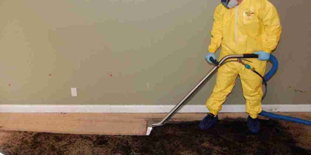 Efficient Sewage Cleanup Solutions for a Healthier Environment