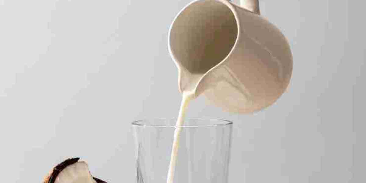 Cocoa Market Developments: Investment Insights and Economic Impacts Across the Globe