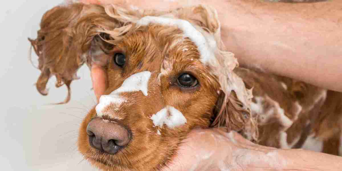 Pet Shampoo Market SWOT Analysis: Strengths, Weaknesses, Opportunities, Threats