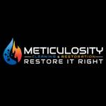 Meticulosity Cleaning and Restoration