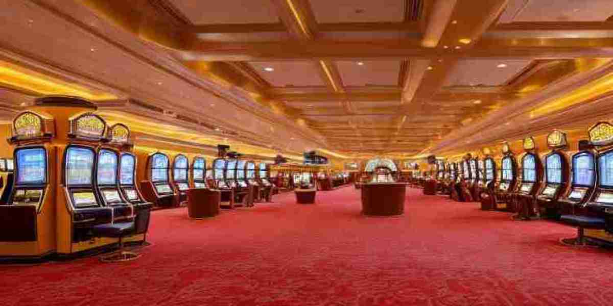 Stake España Juegos de Mesa de primera calidad